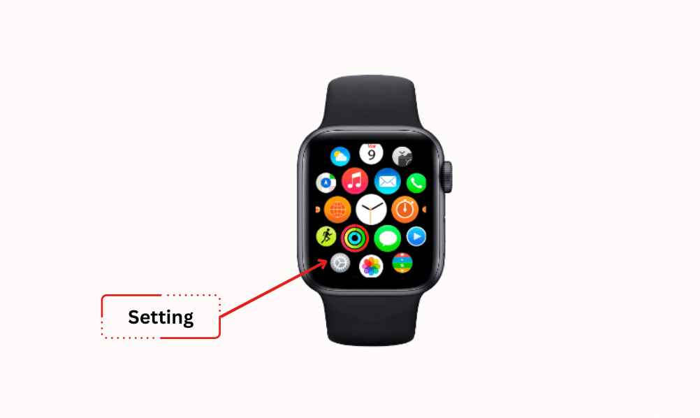 Apple Watch Setting